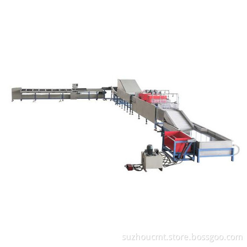 Mango Hot Water Treatment, Waxing, Drying and Grading Production Line